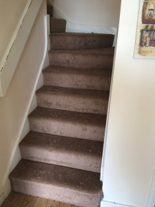 carpet