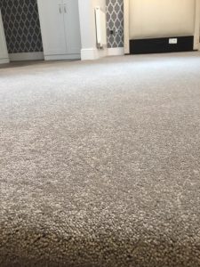 carpet
